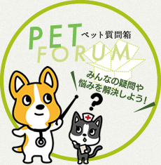 ペット質問箱　みんなの疑問や悩みを解決しよう！｜PET FORUM