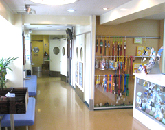 【写真】動物総合病院 ユニベッツ福岡 内観