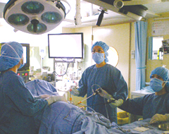 【写真】腹腔鏡手術の様子 