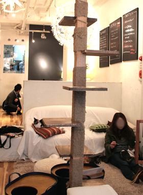 【写真】NEKO CAFE KEURIG 内観1