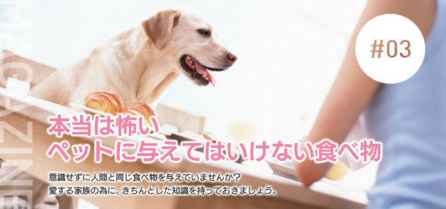 #03 本当は怖いペットに与えてはいけない食べ物　意識せずに人間と同じ食べ物を与えていませんか？愛する家族の為に、きちんとした知識を持っておきましょう。