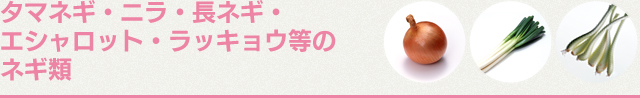 タマネギ・ニラ・長ネギ・エシャロット・ラッキョウ等のネギ類