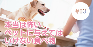 ペットを飼う前に考えること